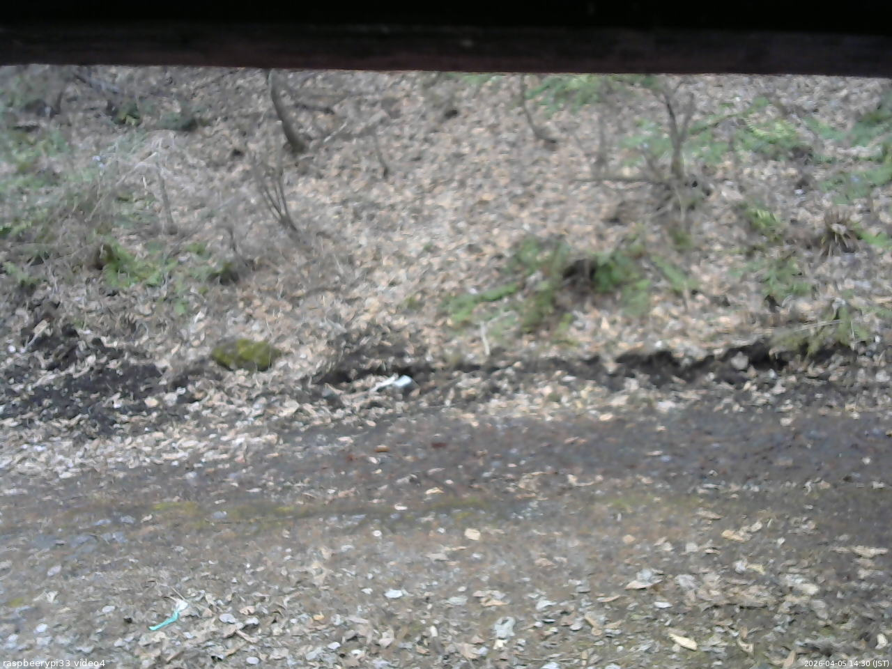 長野県菅平高原 ゆたか山荘 東側(坂下) 2026/04/05 14:30
