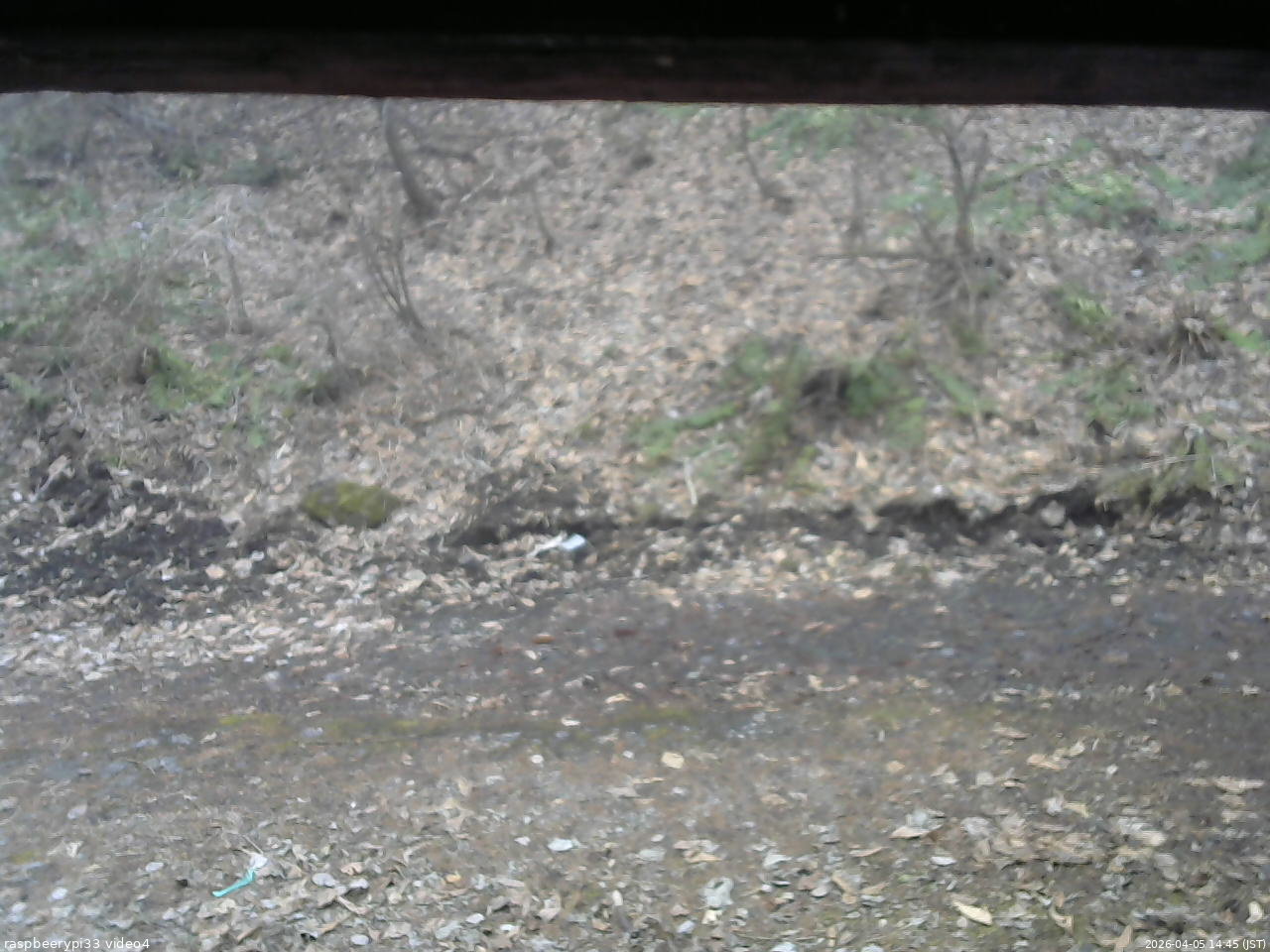長野県菅平高原 ゆたか山荘 東側(坂下) 2026/04/05 14:45