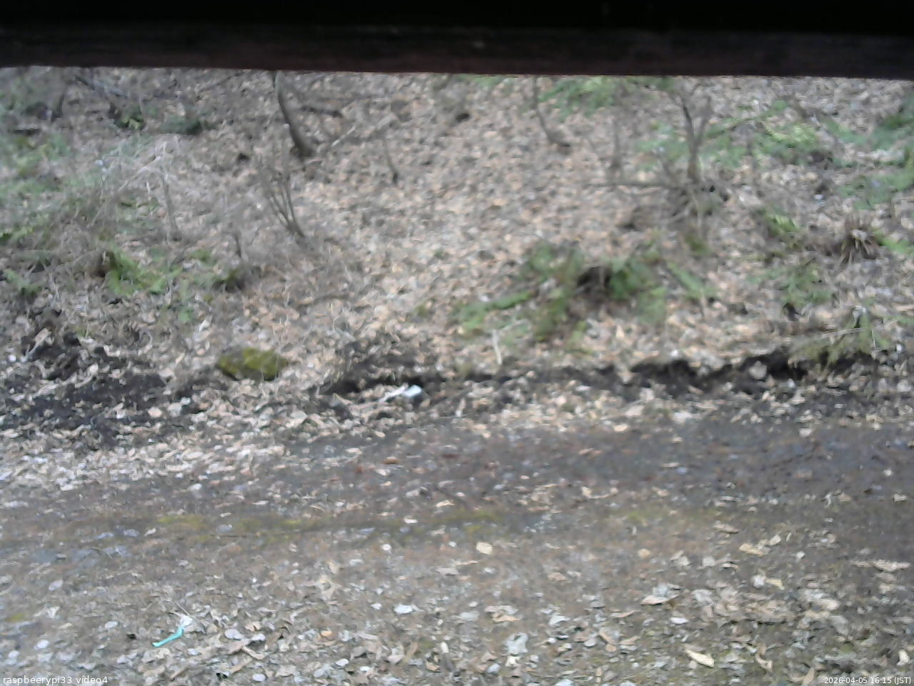 長野県菅平高原 ゆたか山荘 東側(坂下) 2026/04/05 16:15