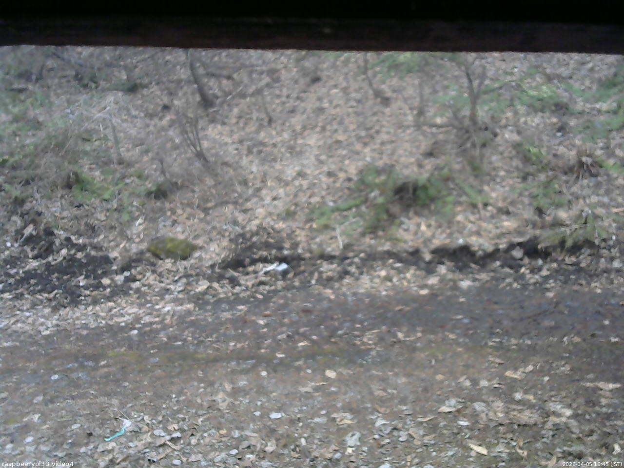 長野県菅平高原 ゆたか山荘 東側(坂下) 2026/04/05 16:45