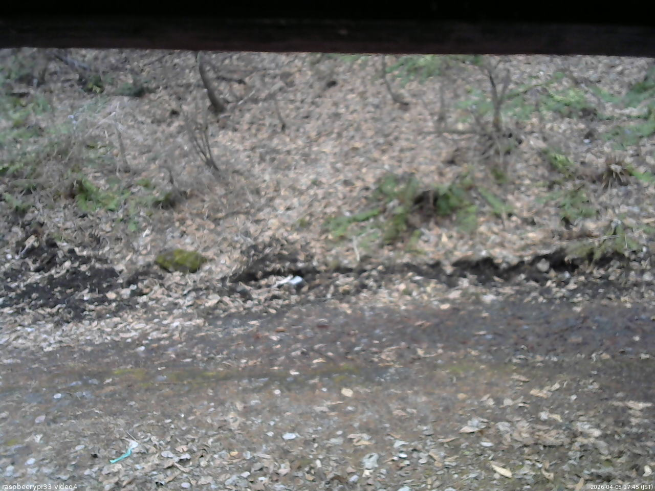 長野県菅平高原 ゆたか山荘 東側(坂下) 2026/04/05 17:45