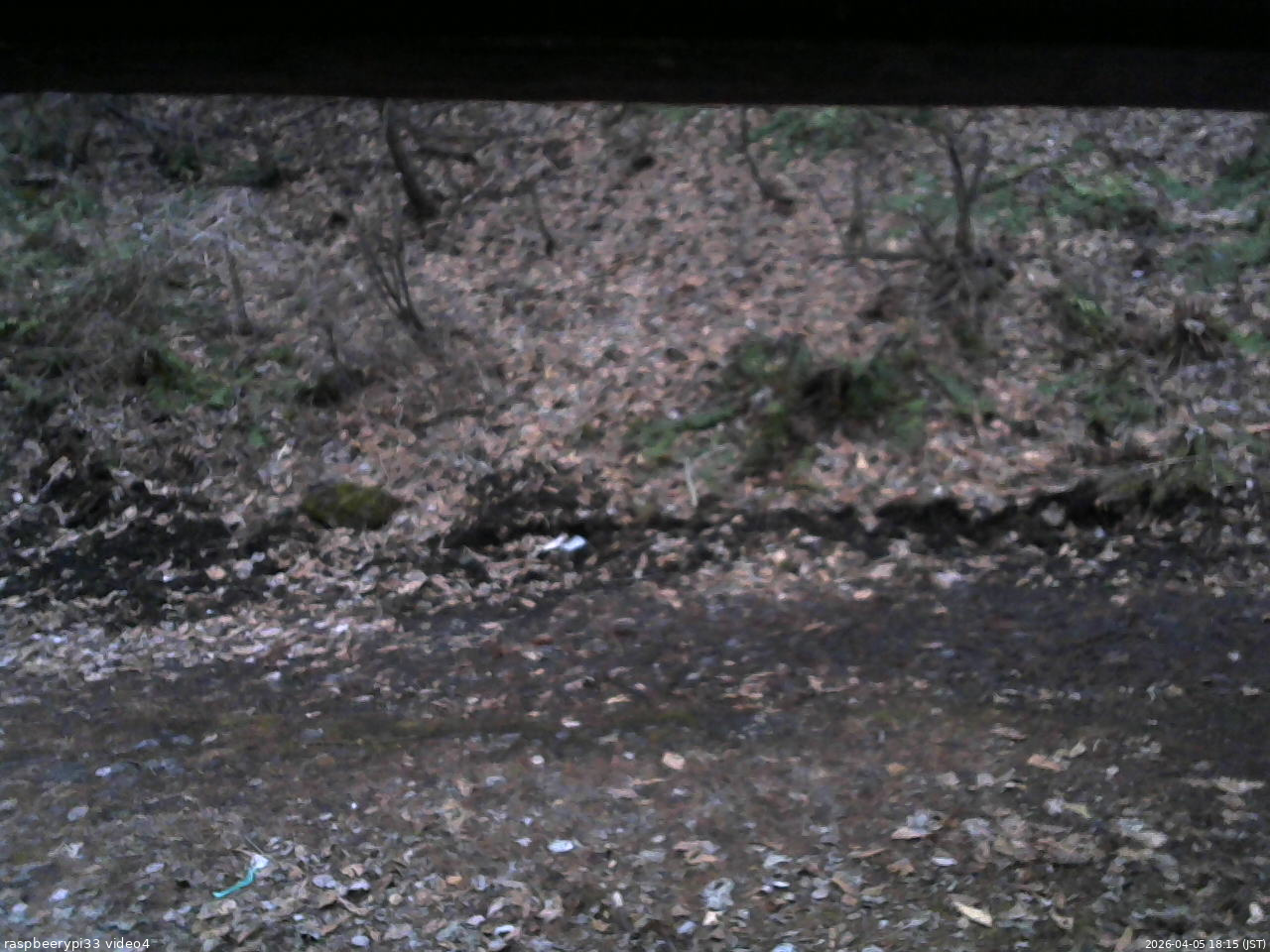 長野県菅平高原 ゆたか山荘 東側(坂下) 2026/04/05 18:15