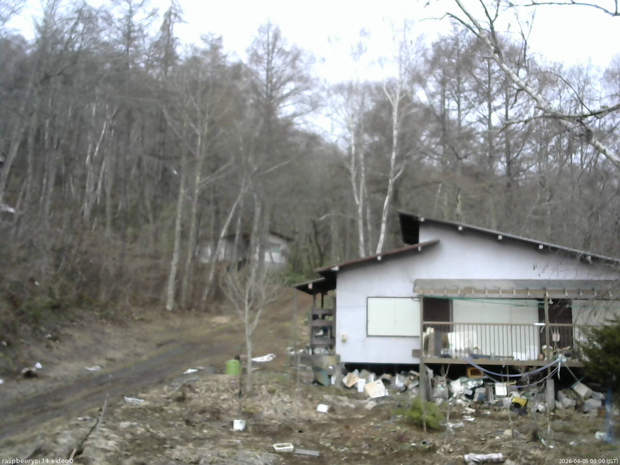 長野県菅平高原 ゆたか山荘 西側(坂上) 2026/04/05 09:00