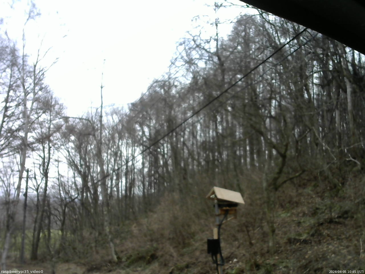 長野県菅平高原 ゆたか山荘 温度計 2026/04/05 10:45