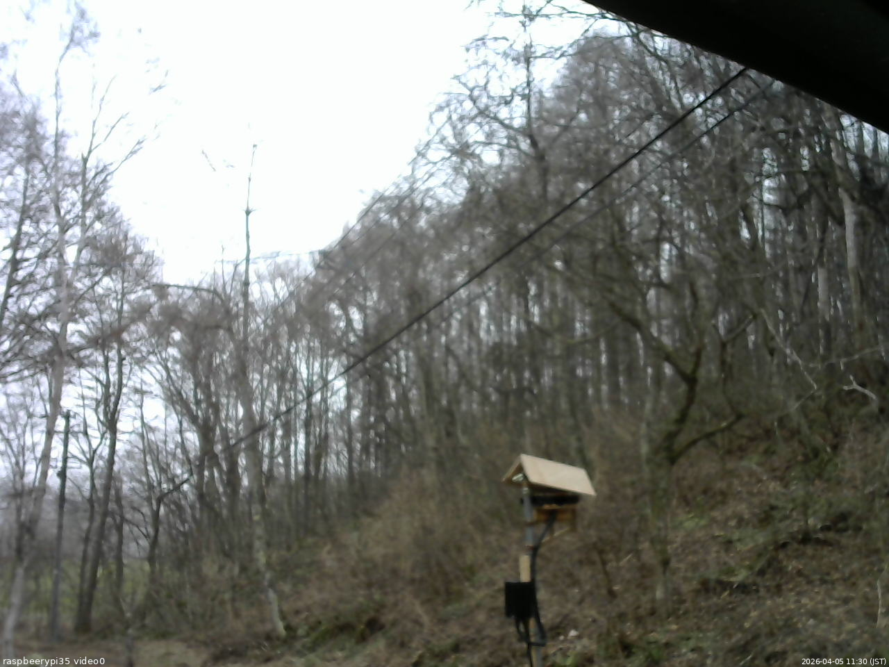 長野県菅平高原 ゆたか山荘 温度計 2026/04/05 11:30