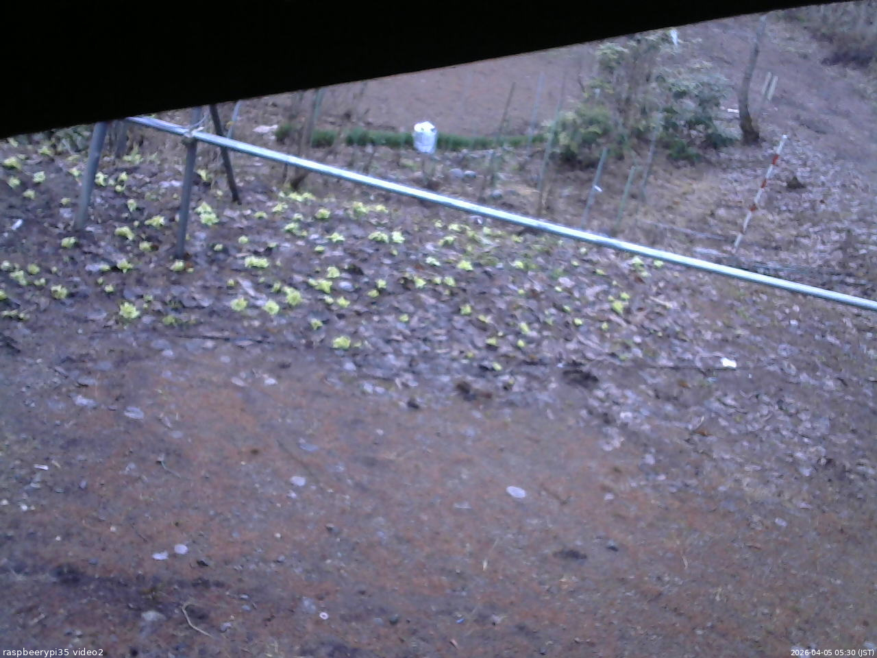 長野県菅平高原 ゆたか山荘 駐車場 2026/04/05 05:30