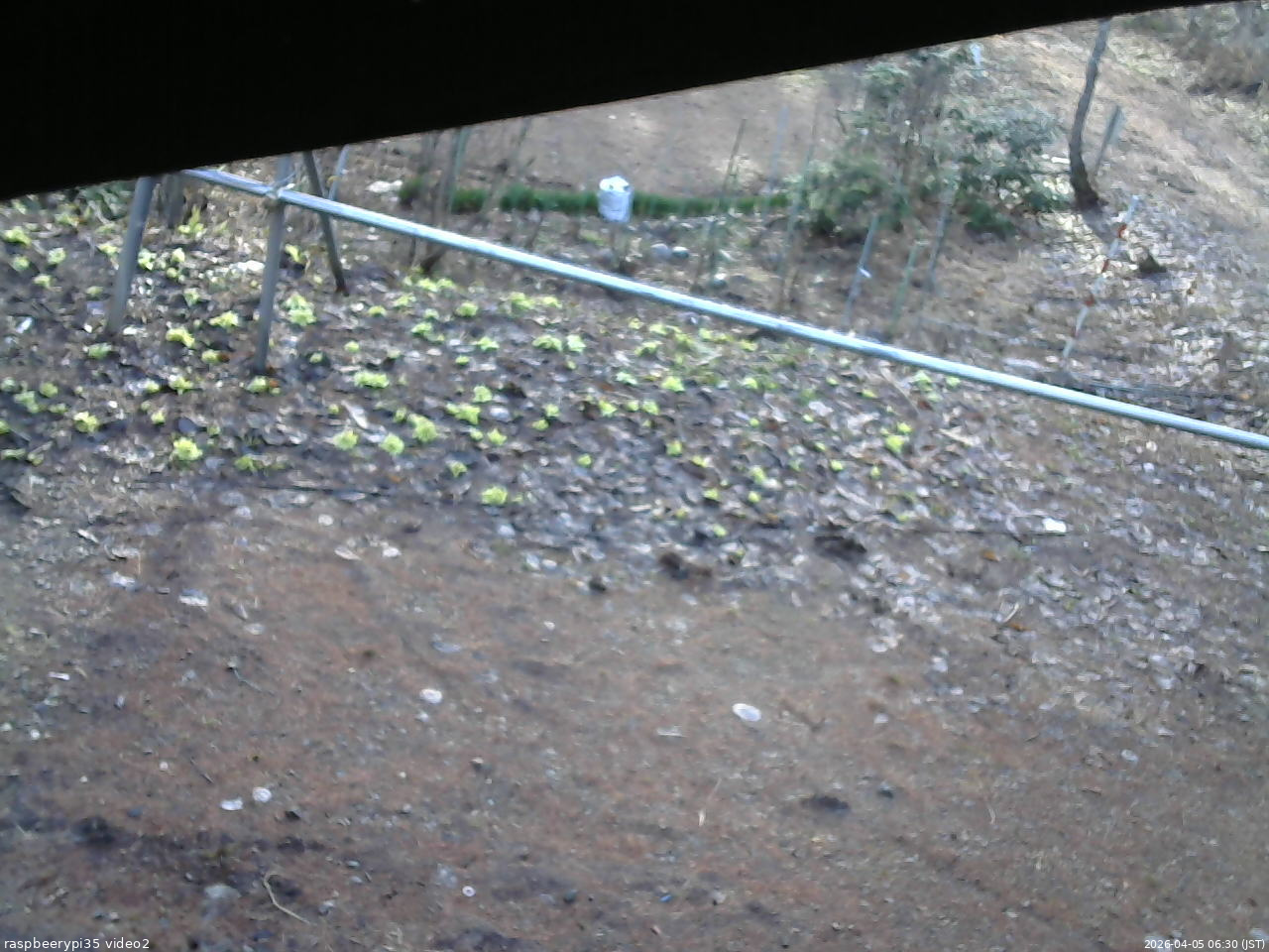 長野県菅平高原 ゆたか山荘 駐車場 2026/04/05 06:30