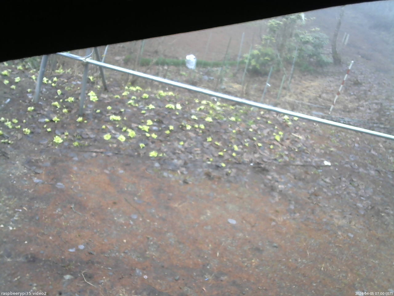 長野県菅平高原 ゆたか山荘 駐車場 2026/04/05 07:00