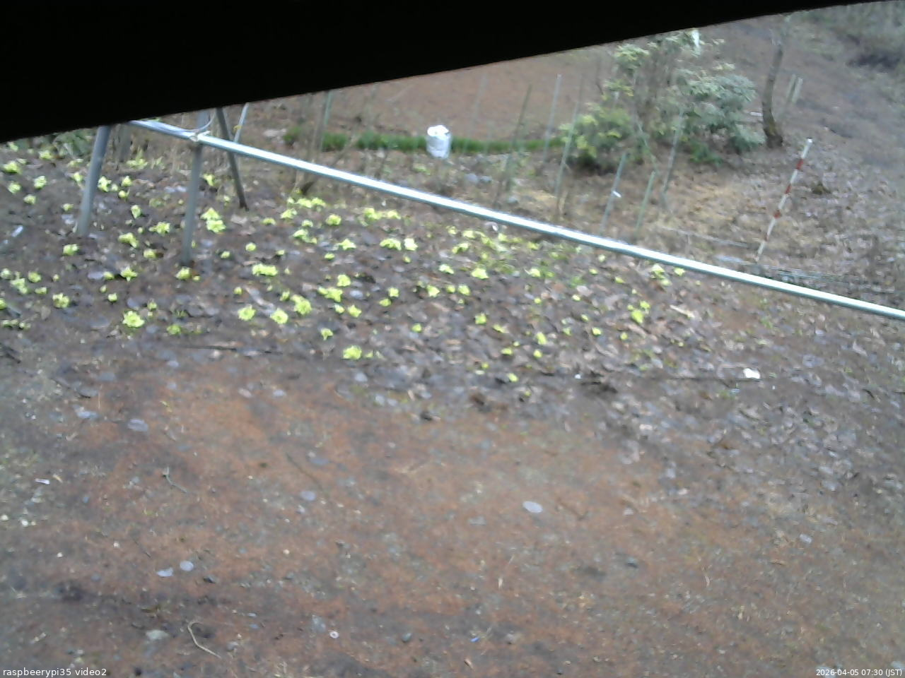 長野県菅平高原 ゆたか山荘 駐車場 2026/04/05 07:30