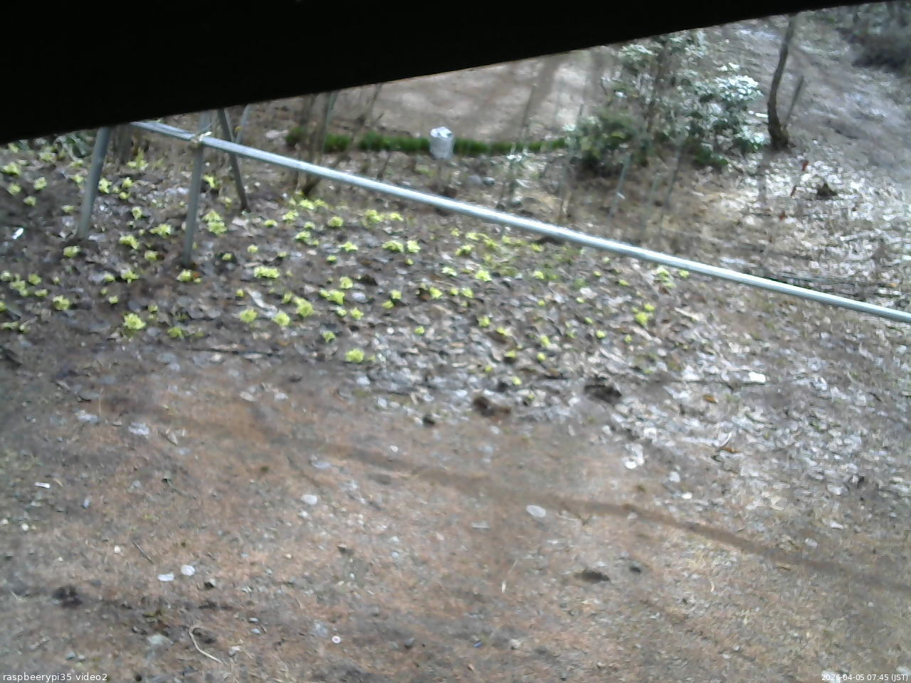 長野県菅平高原 ゆたか山荘 駐車場 2026/04/05 07:45
