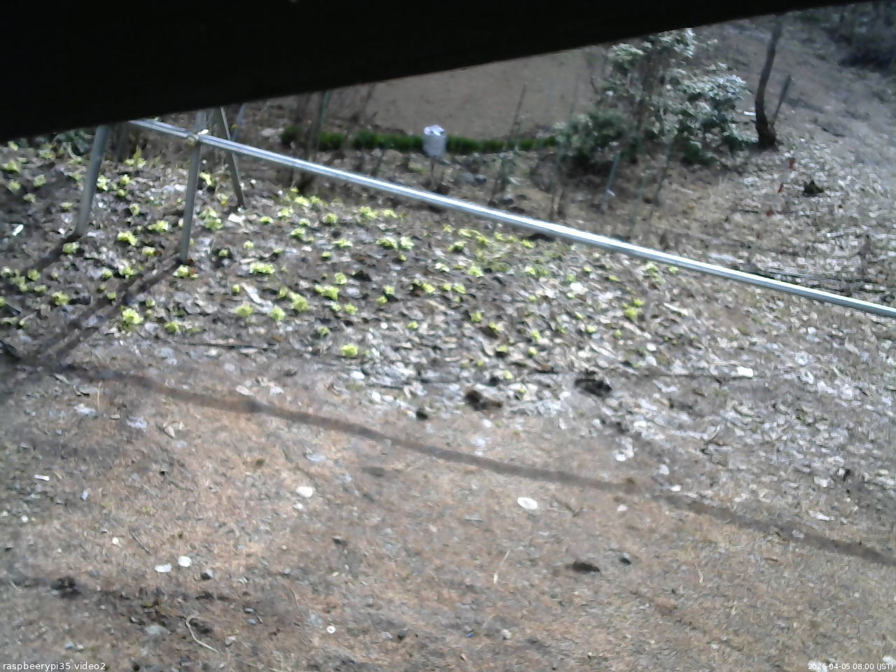 長野県菅平高原 ゆたか山荘 駐車場 2026/04/05 08:00