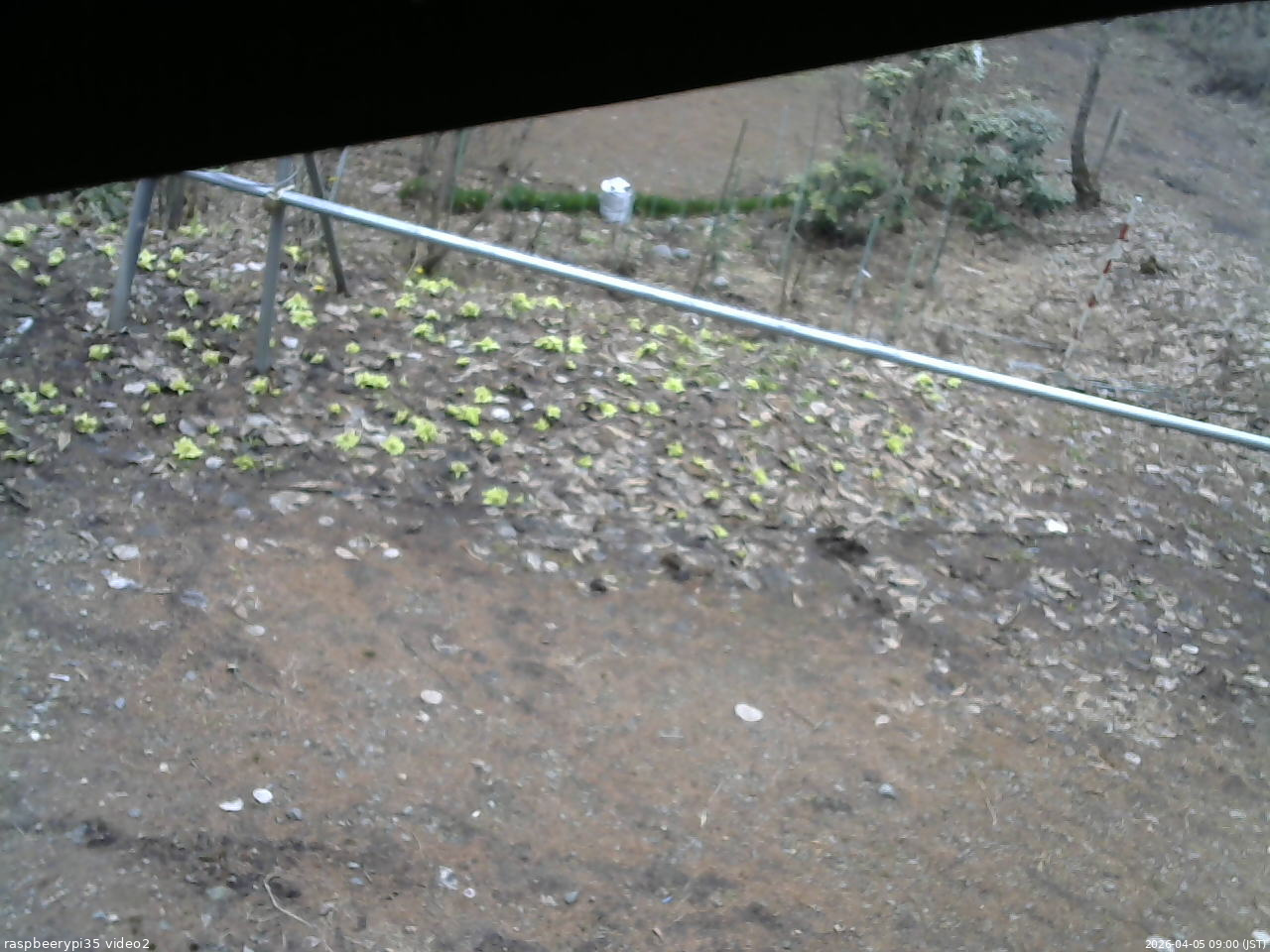 長野県菅平高原 ゆたか山荘 駐車場 2026/04/05 09:00