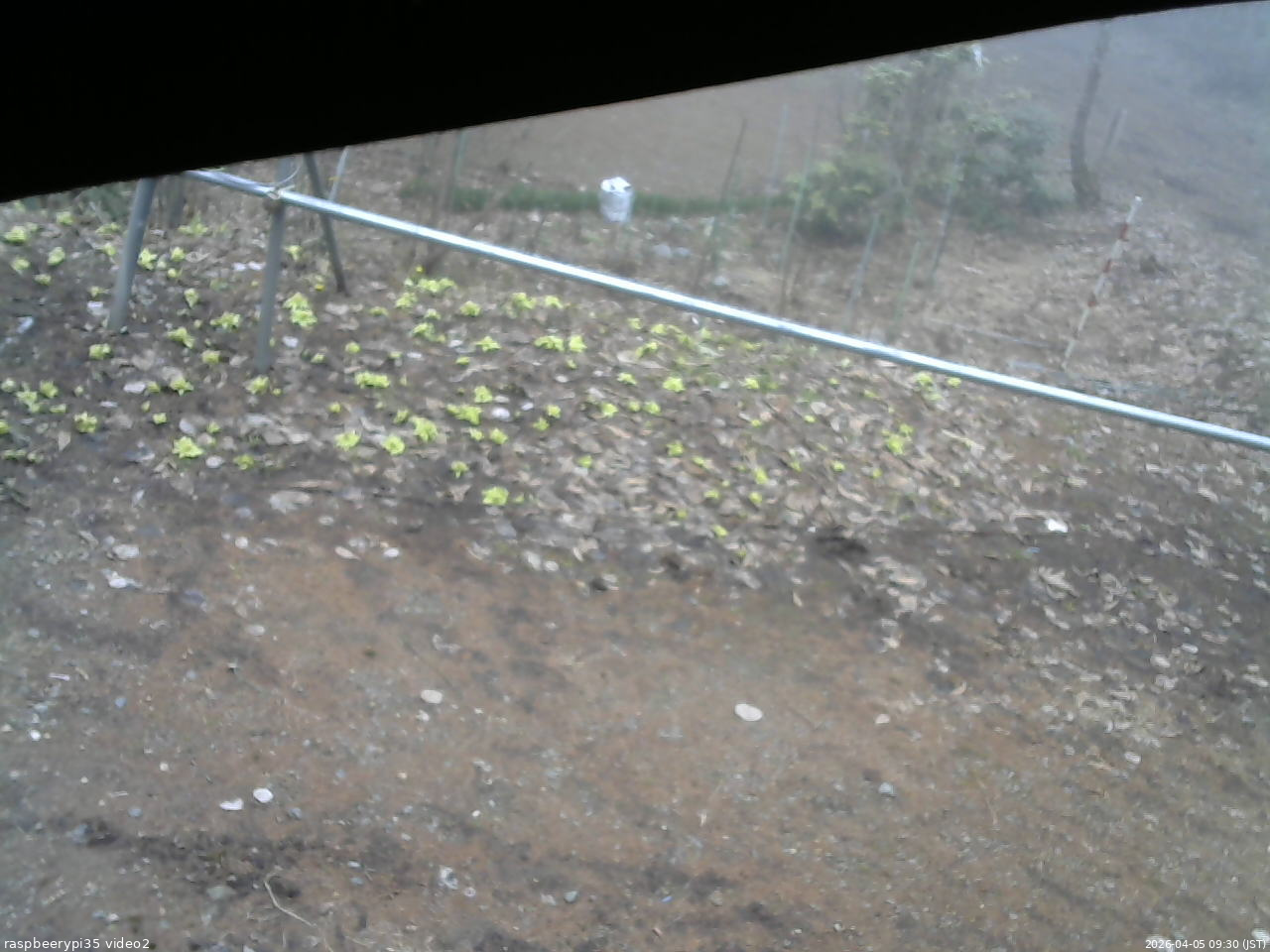 長野県菅平高原 ゆたか山荘 駐車場 2026/04/05 09:30