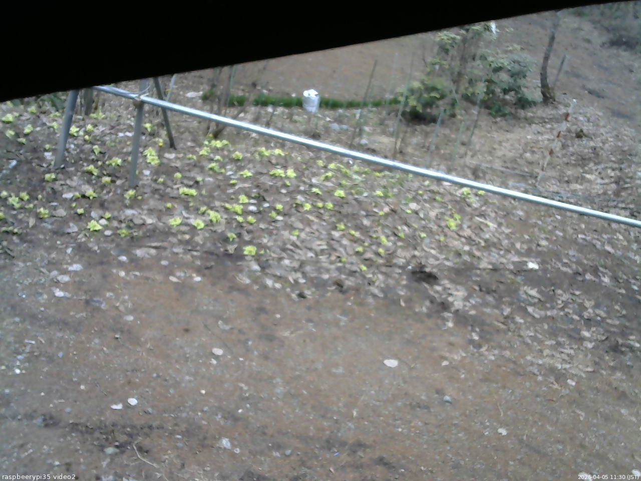 長野県菅平高原 ゆたか山荘 駐車場 2026/04/05 11:30