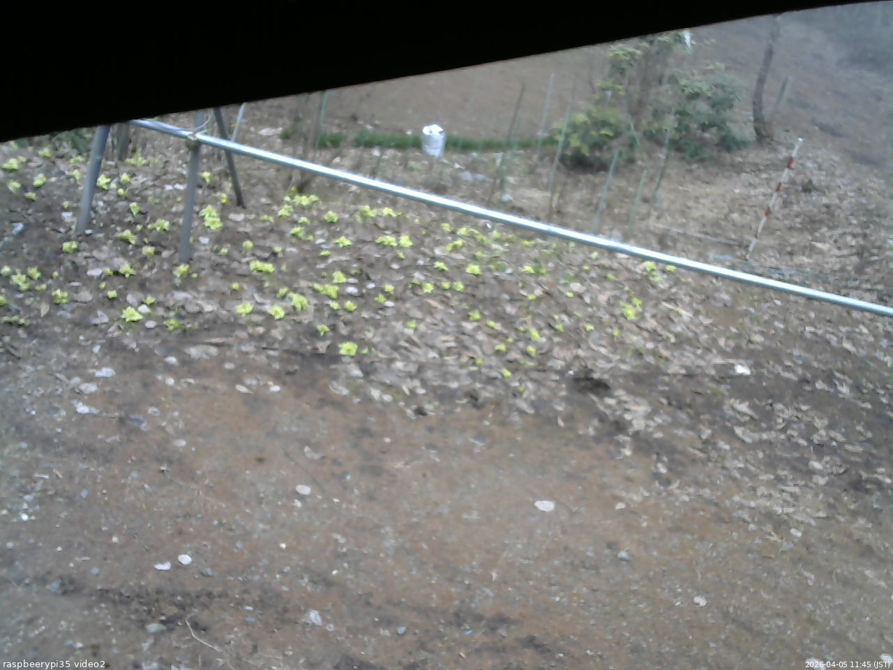長野県菅平高原 ゆたか山荘 駐車場 2026/04/05 11:45