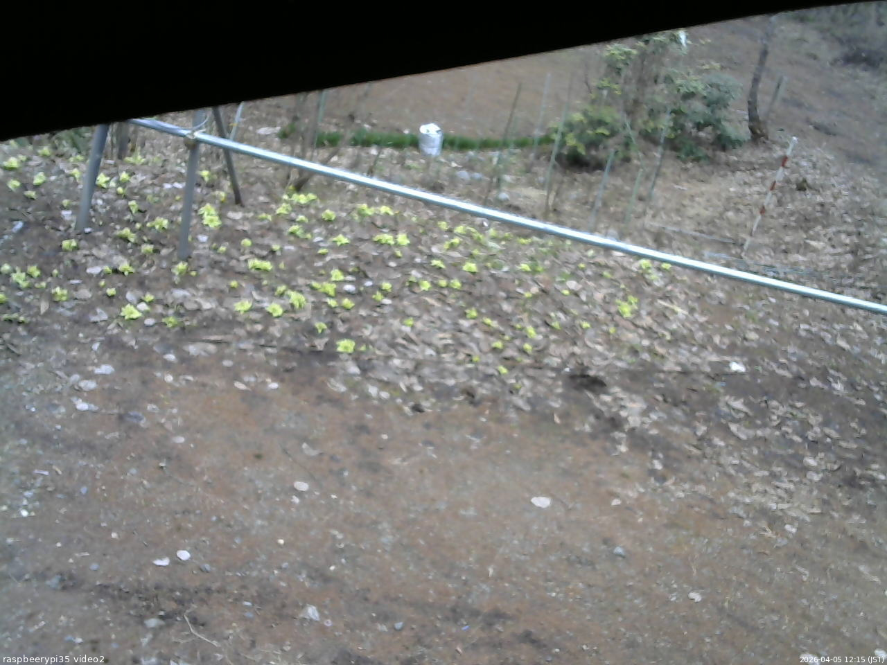 長野県菅平高原 ゆたか山荘 駐車場 2026/04/05 12:15