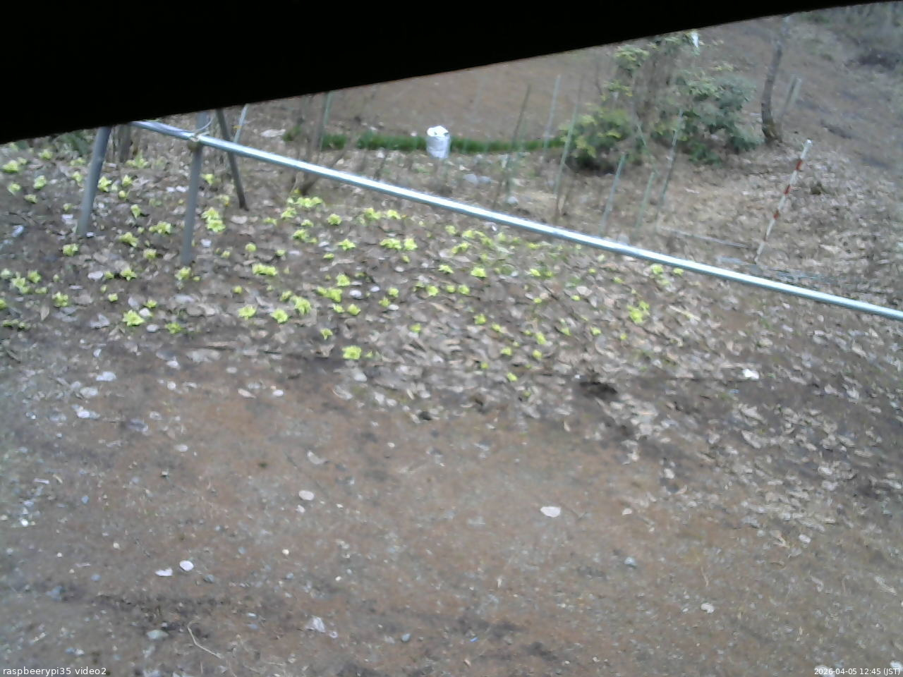 長野県菅平高原 ゆたか山荘 駐車場 2026/04/05 12:45