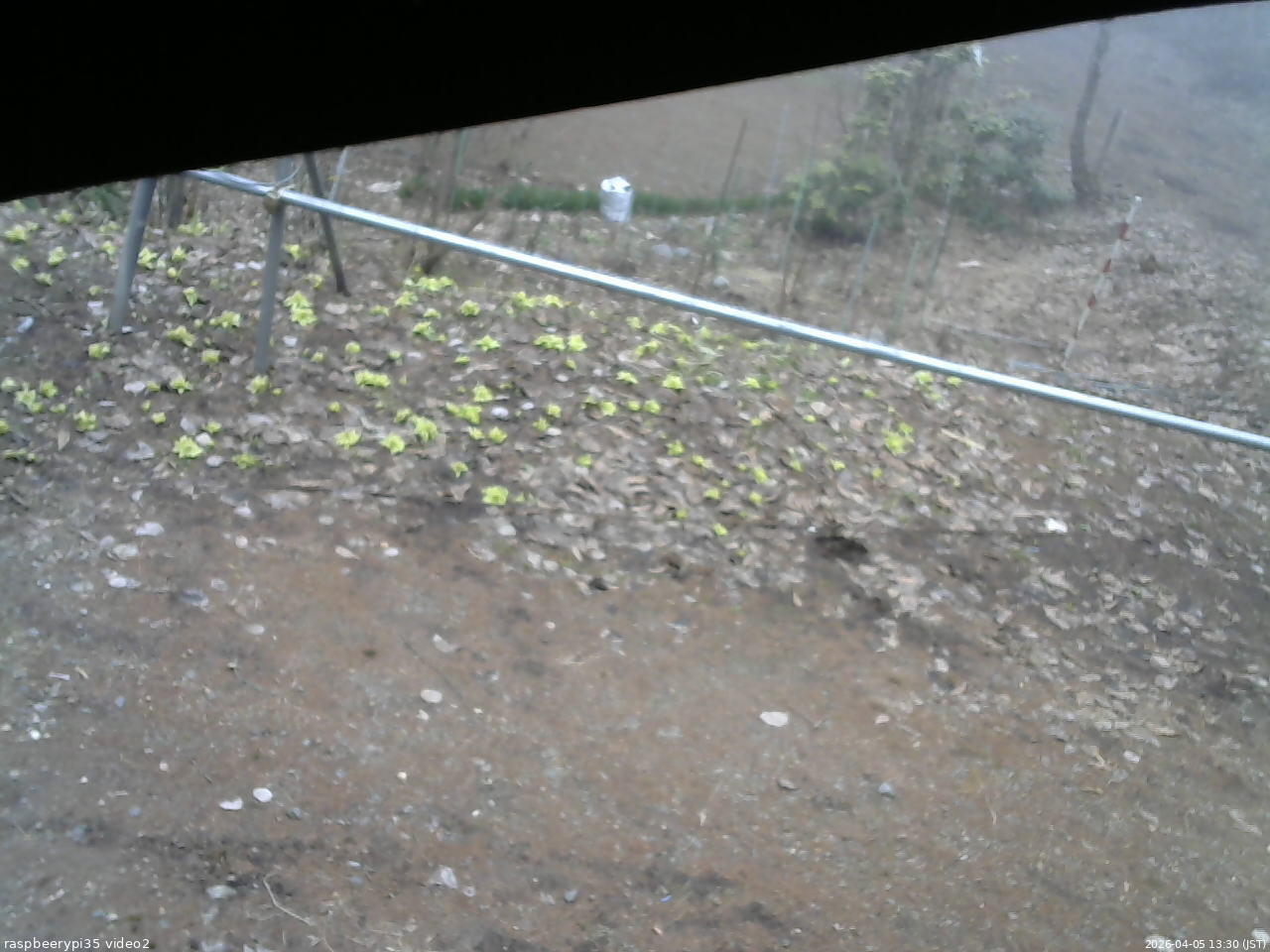 長野県菅平高原 ゆたか山荘 駐車場 2026/04/05 13:30