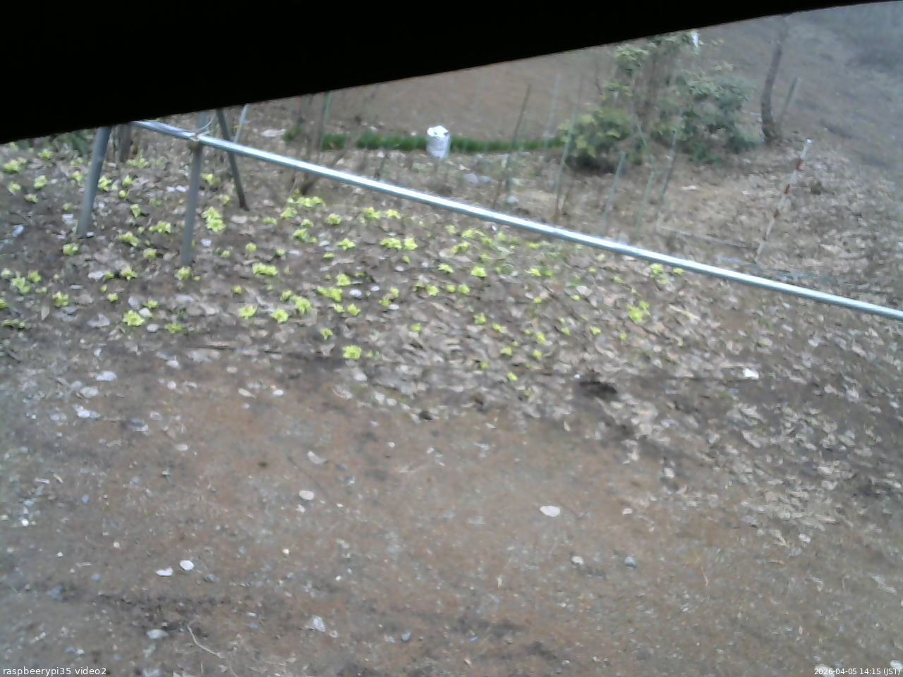 長野県菅平高原 ゆたか山荘 駐車場 2026/04/05 14:15