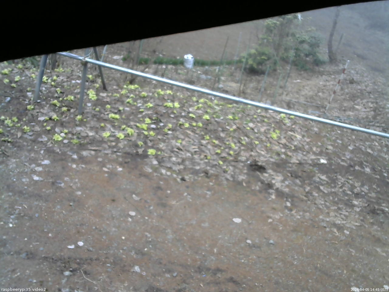 長野県菅平高原 ゆたか山荘 駐車場 2026/04/05 14:45