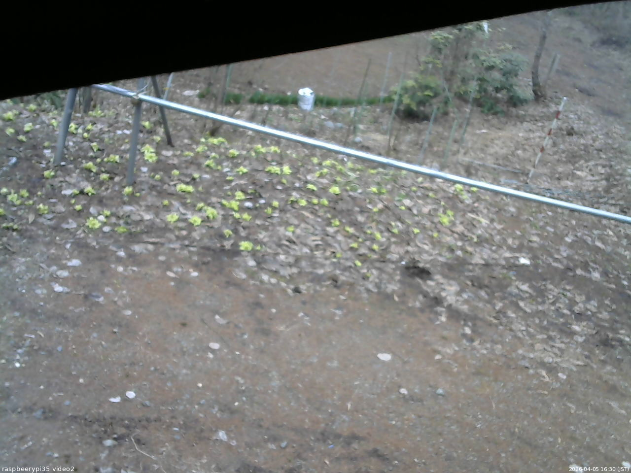 長野県菅平高原 ゆたか山荘 駐車場 2026/04/05 16:30