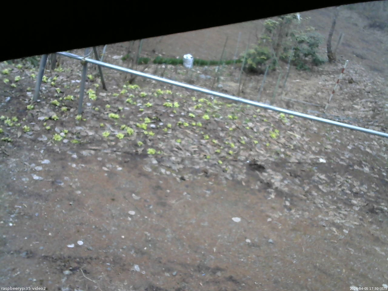 長野県菅平高原 ゆたか山荘 駐車場 2026/04/05 17:30