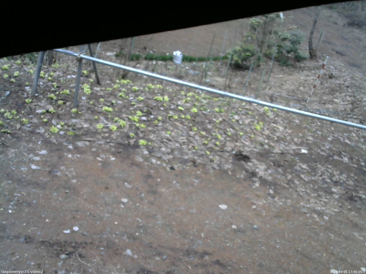 長野県菅平高原 ゆたか山荘 駐車場 2026/04/05 17:45