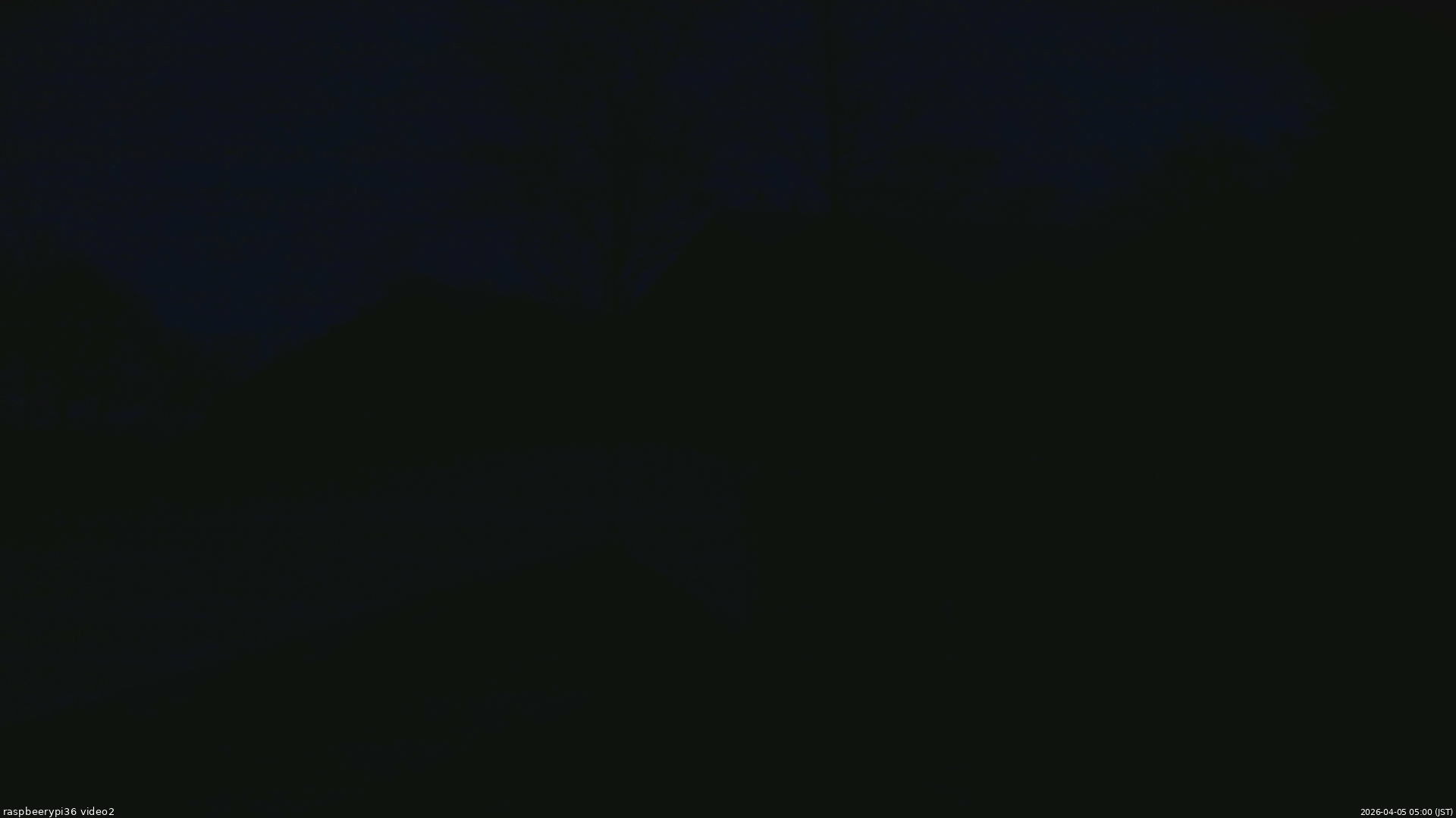 長野県菅平高原 ゆたか山荘 駐車場奥 2026/04/05 05:00