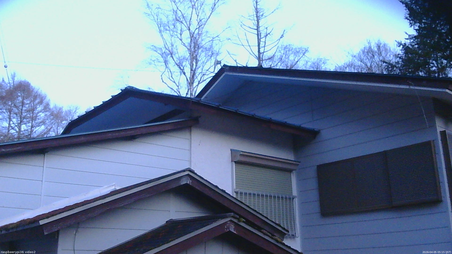 長野県菅平高原 ゆたか山荘 駐車場奥 2026/04/05 05:15