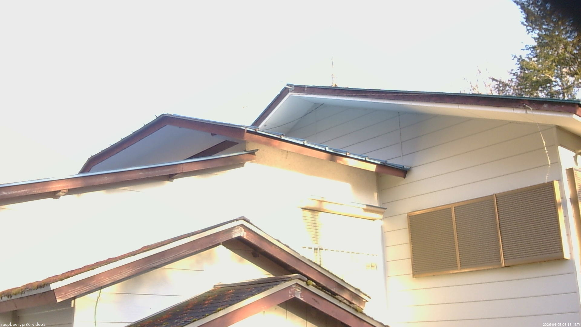 長野県菅平高原 ゆたか山荘 駐車場奥 2026/04/05 06:15