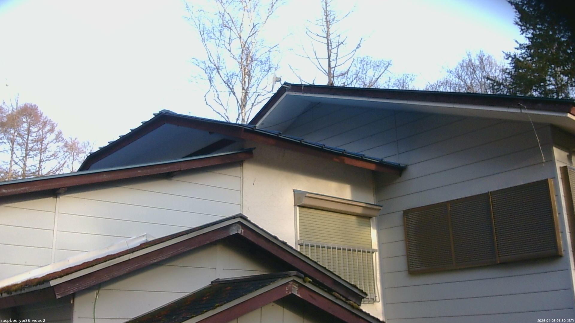 長野県菅平高原 ゆたか山荘 駐車場奥 2026/04/05 06:30