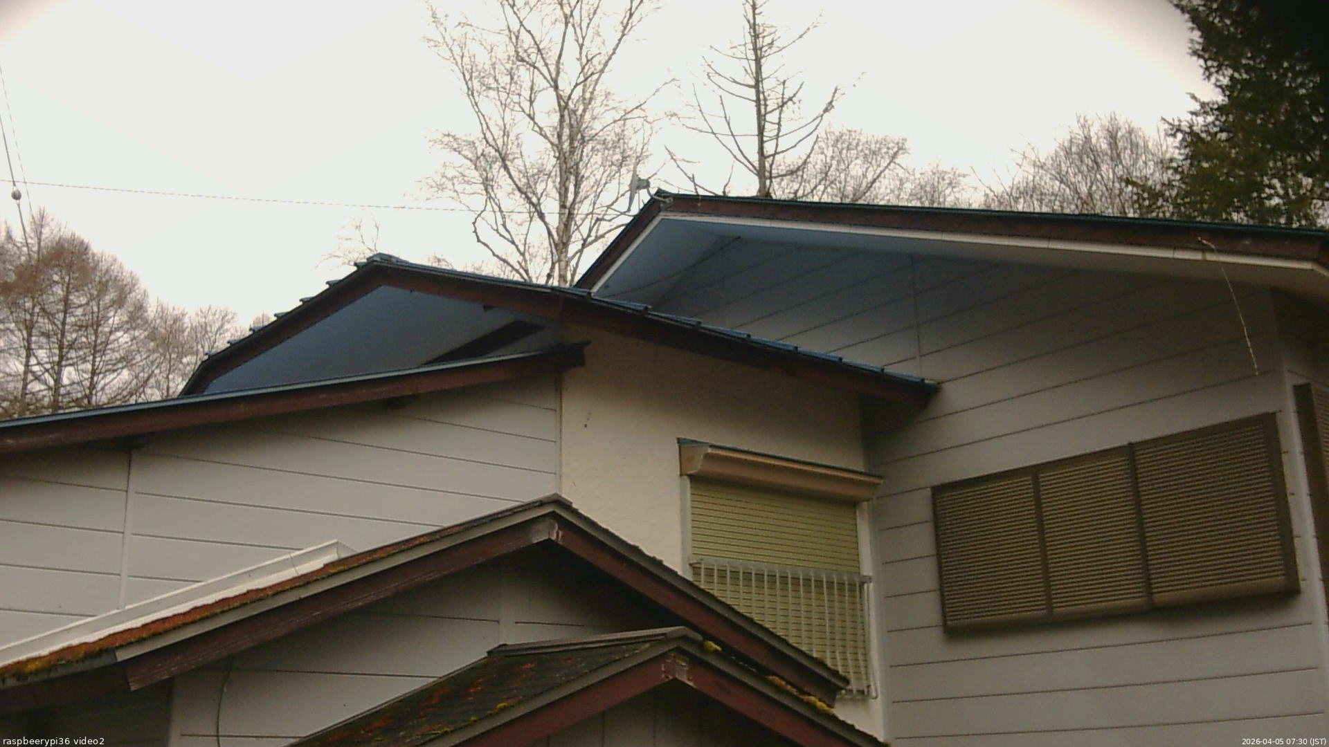 長野県菅平高原 ゆたか山荘 駐車場奥 2026/04/05 07:30