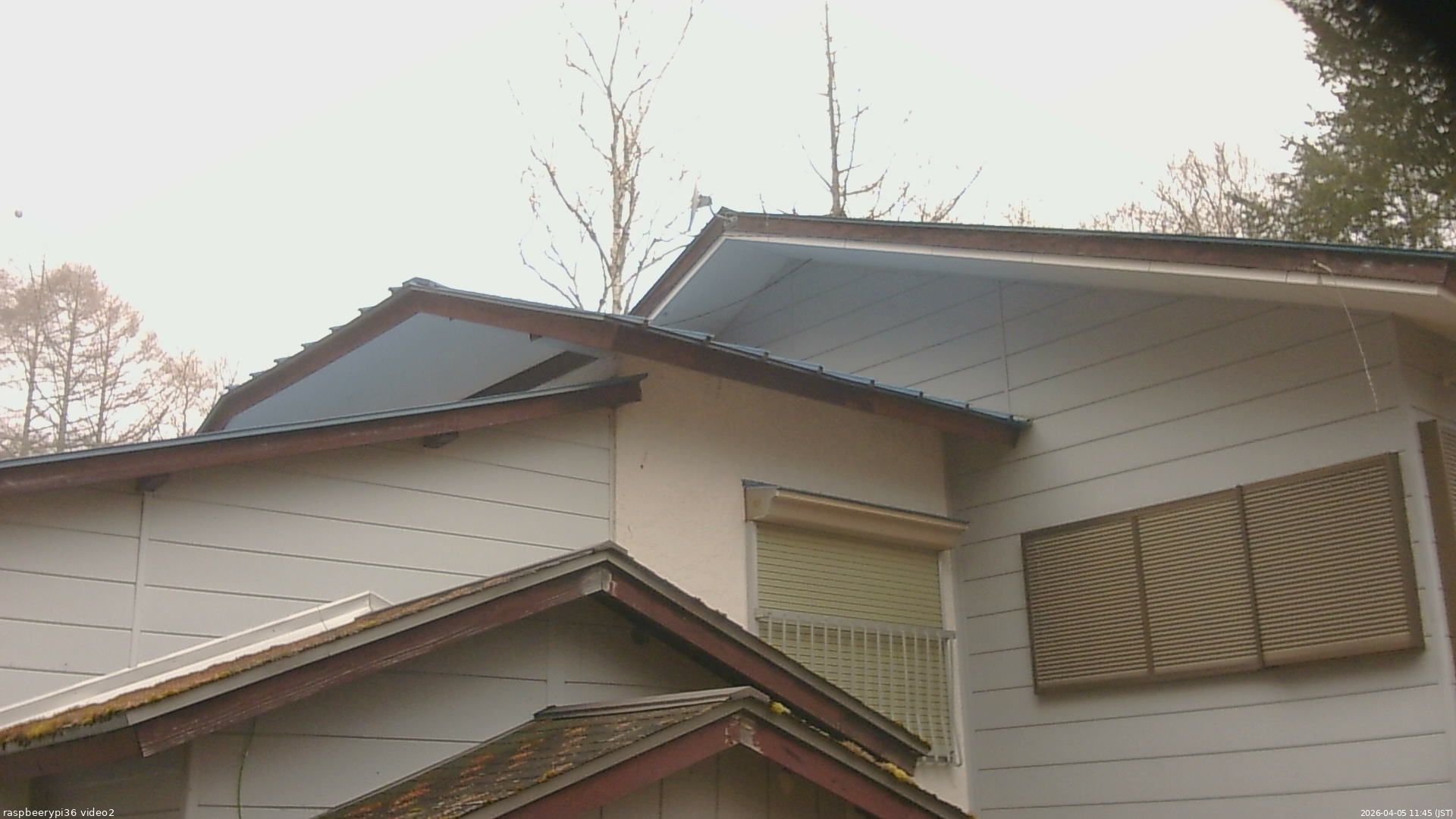 長野県菅平高原 ゆたか山荘 駐車場奥 2026/04/05 11:45