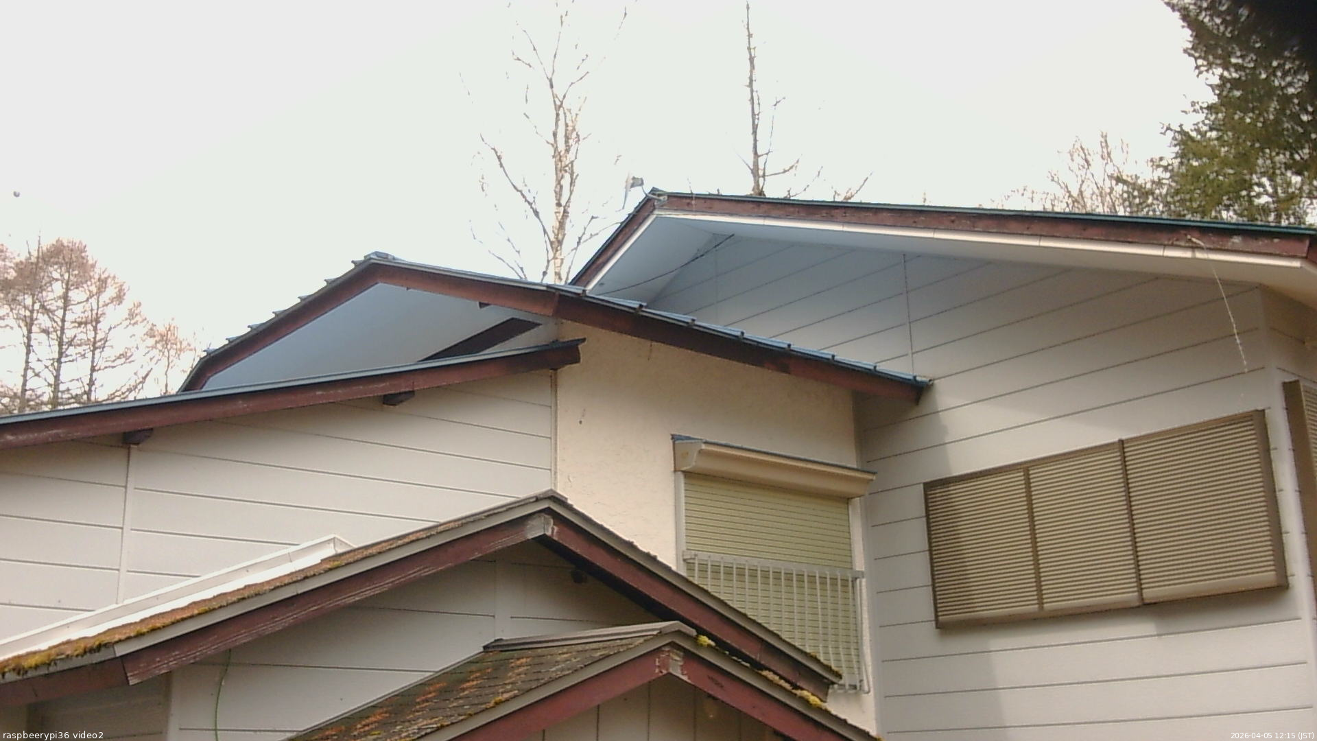 長野県菅平高原 ゆたか山荘 駐車場奥 2026/04/05 12:15