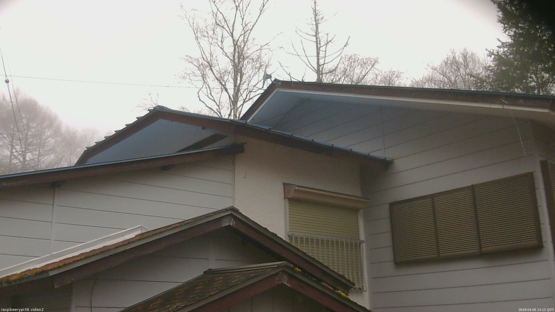 長野県菅平高原 ゆたか山荘 駐車場奥 2026/04/05 14:15