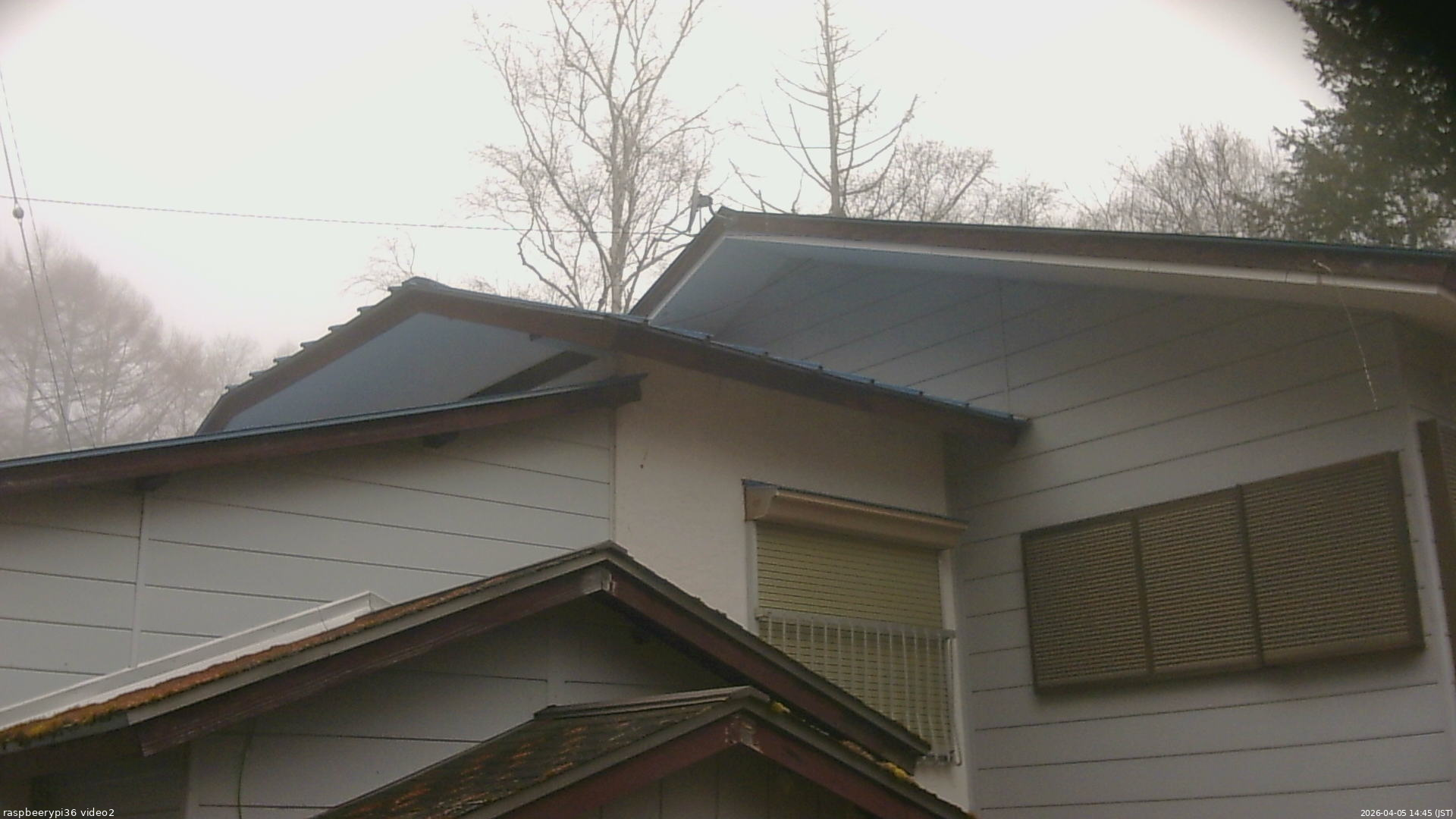 長野県菅平高原 ゆたか山荘 駐車場奥 2026/04/05 14:45