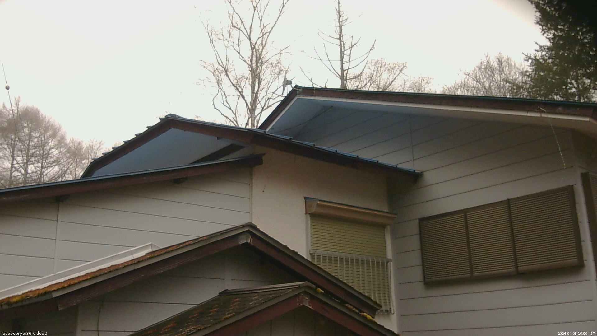 長野県菅平高原 ゆたか山荘 駐車場奥 2026/04/05 16:00