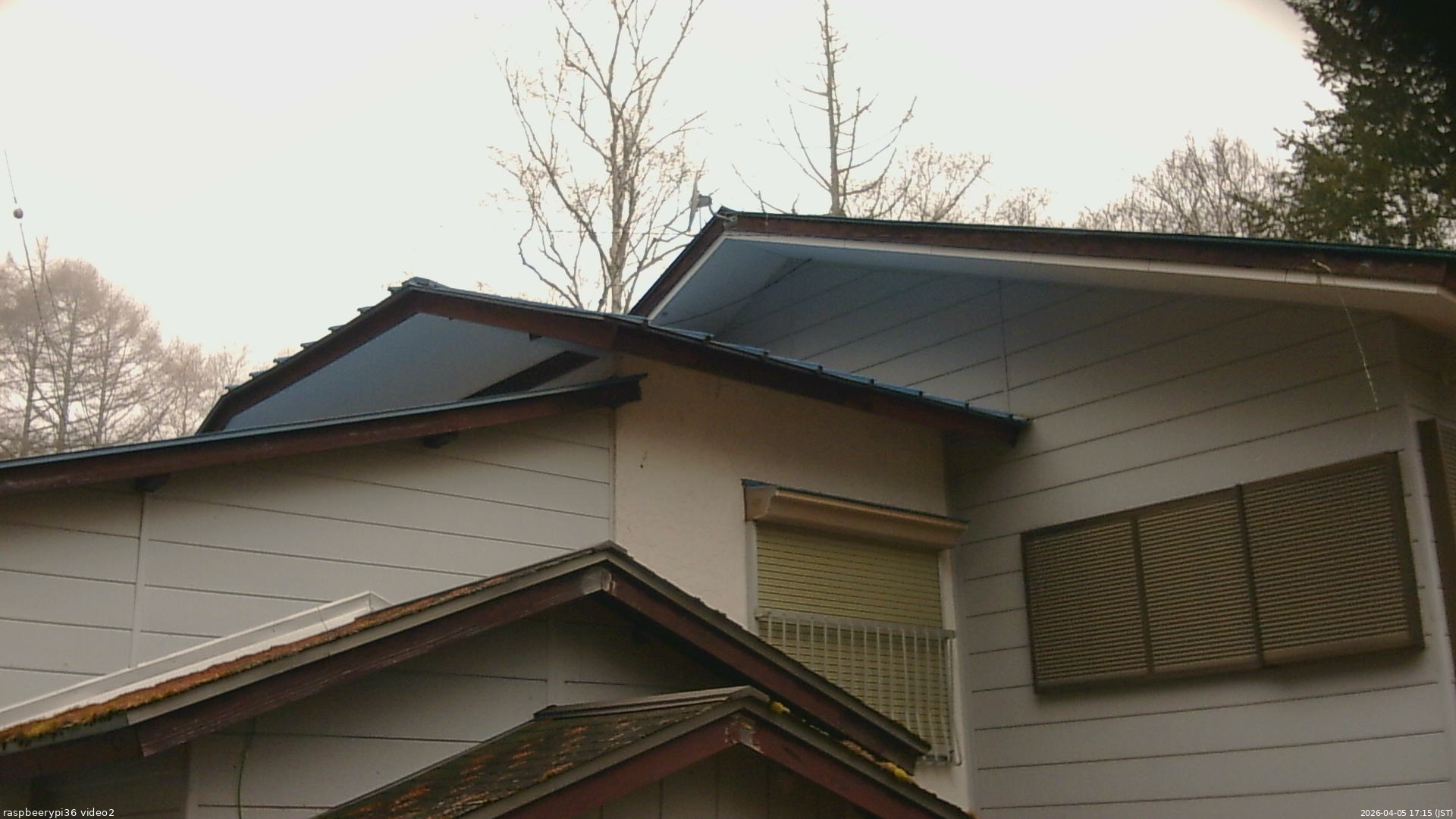 長野県菅平高原 ゆたか山荘 駐車場奥 2026/04/05 17:15