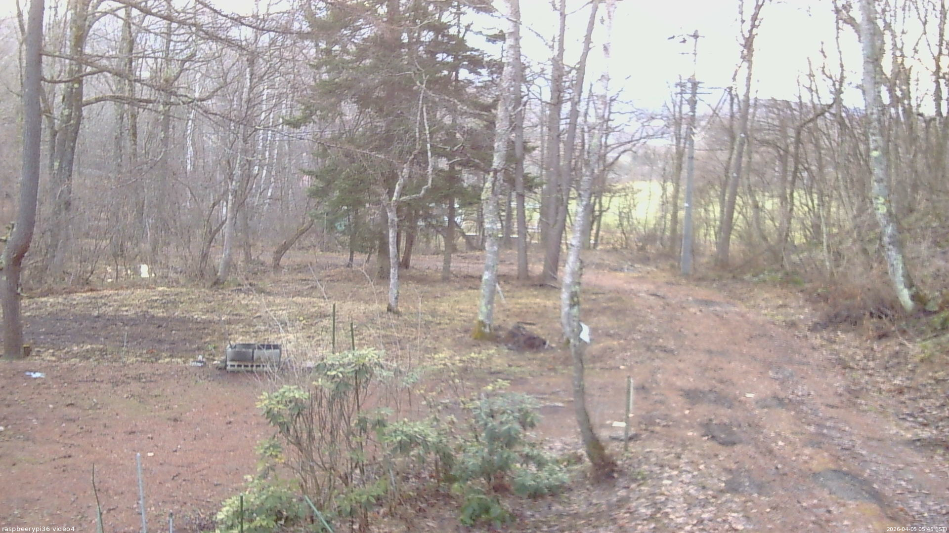 長野県菅平高原 ゆたか山荘 坂上 2026/04/05 05:45