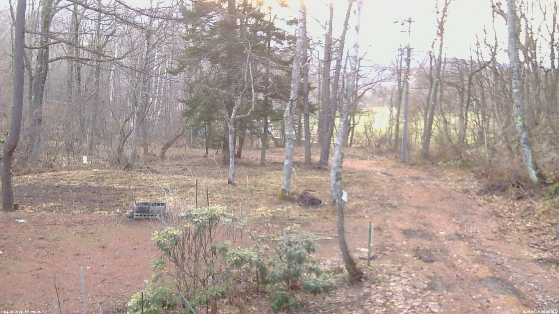 長野県菅平高原 ゆたか山荘 坂上 2026/04/05 06:00