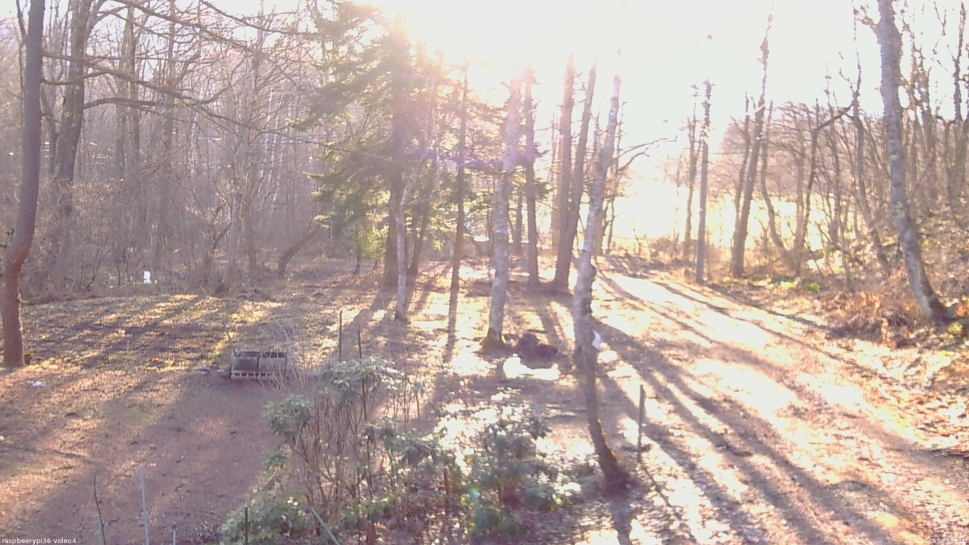 長野県菅平高原 ゆたか山荘 坂上 2026/04/05 06:15