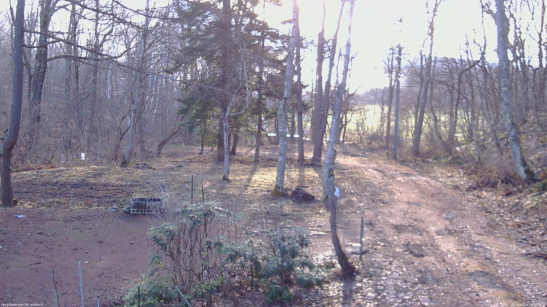長野県菅平高原 ゆたか山荘 坂上 2026/04/05 06:30