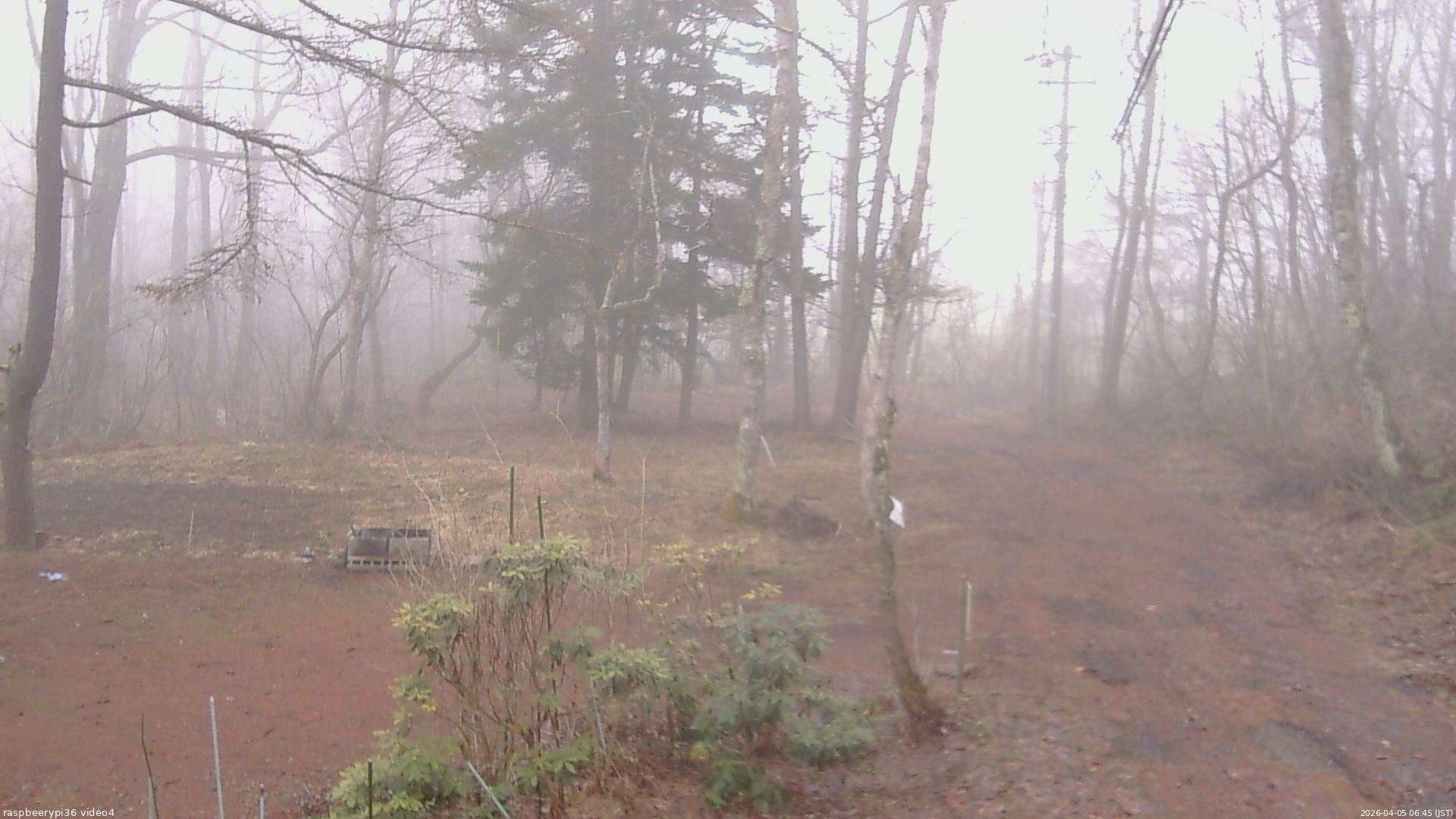 長野県菅平高原 ゆたか山荘 坂上 2026/04/05 06:45