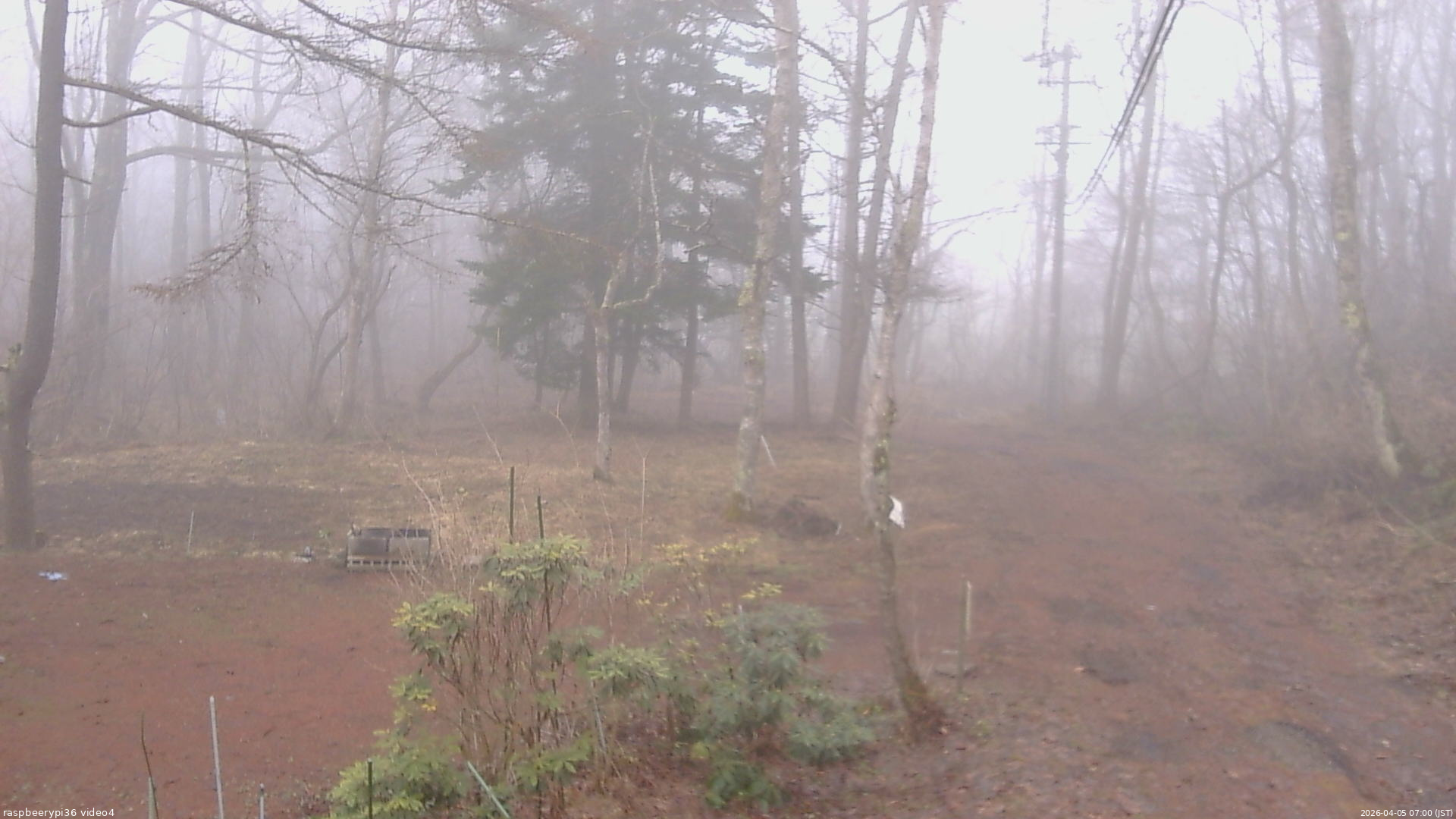 長野県菅平高原 ゆたか山荘 坂上 2026/04/05 07:00