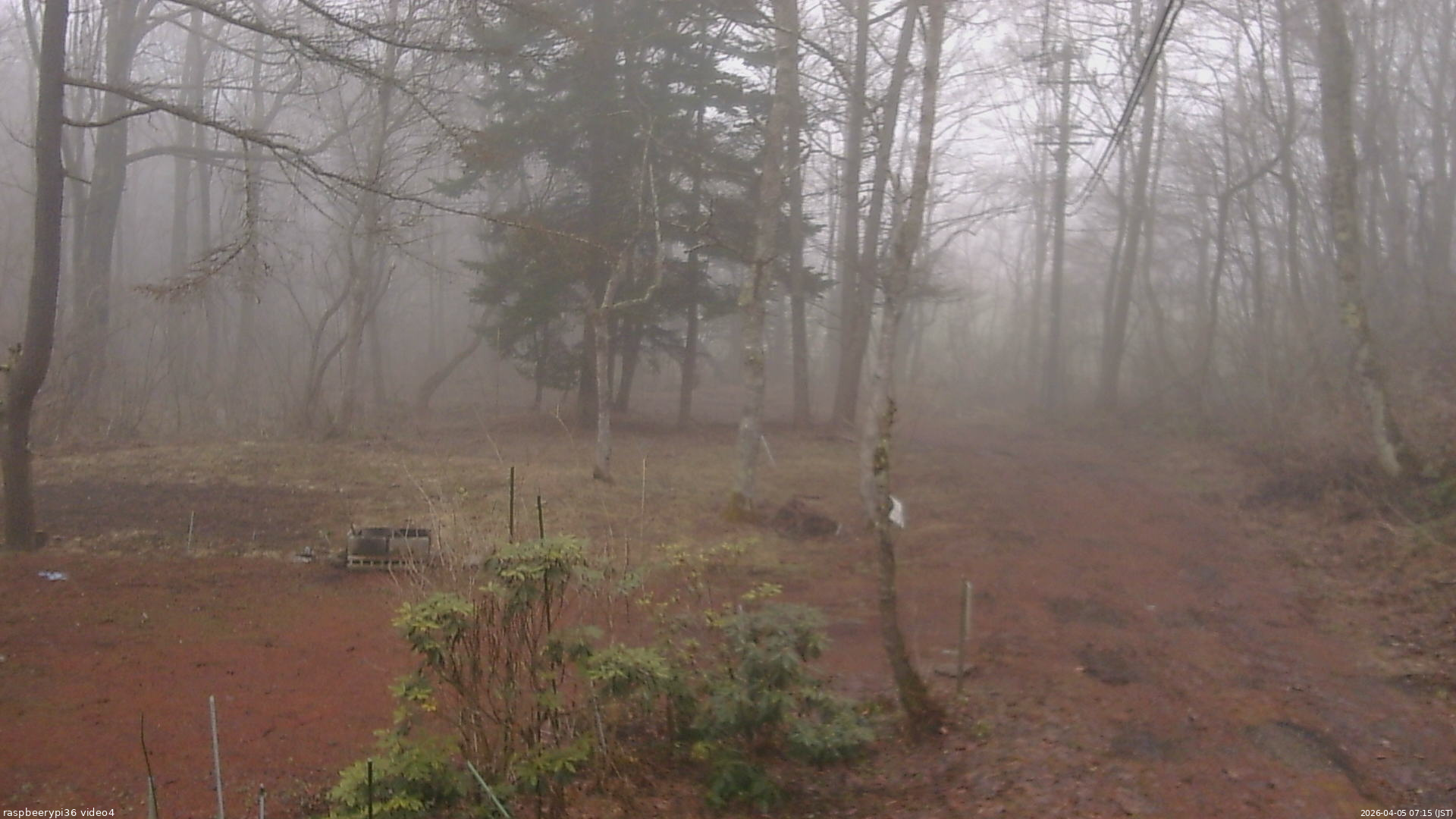 長野県菅平高原 ゆたか山荘 坂上 2026/04/05 07:15