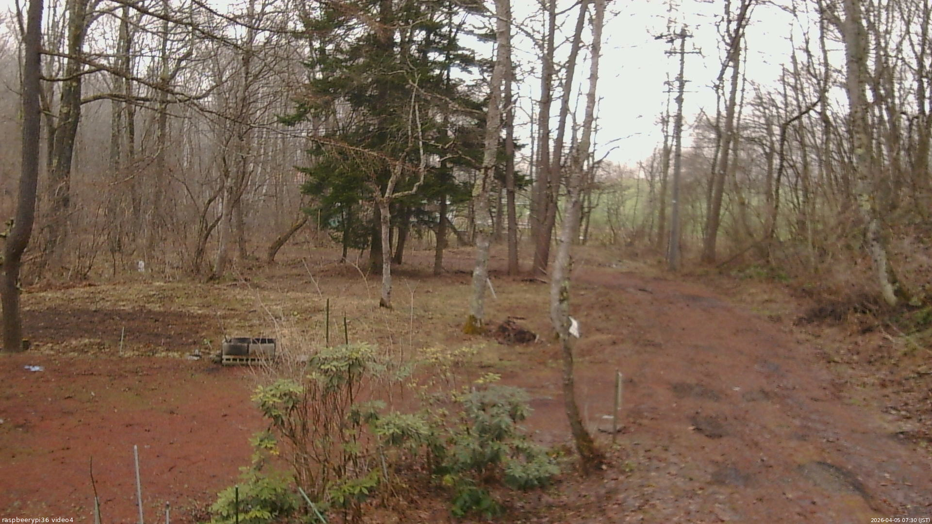 長野県菅平高原 ゆたか山荘 坂上 2026/04/05 07:30