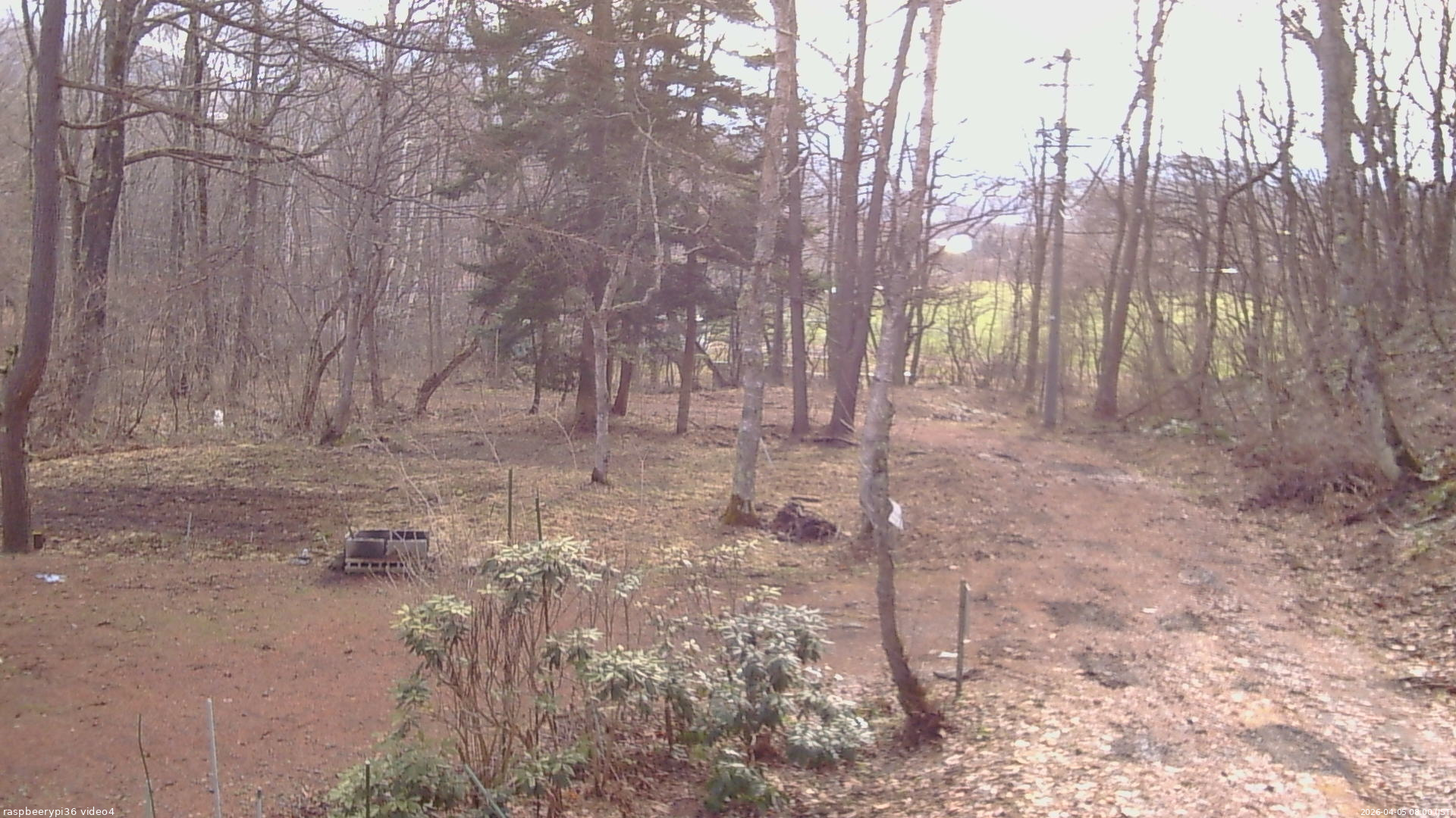 長野県菅平高原 ゆたか山荘 坂上 2026/04/05 08:00