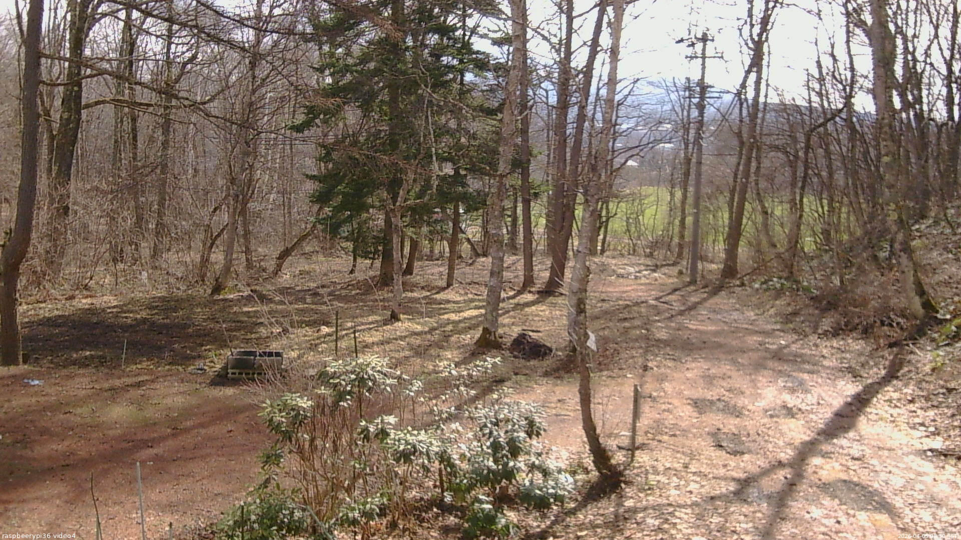 長野県菅平高原 ゆたか山荘 坂上 2026/04/05 08:30