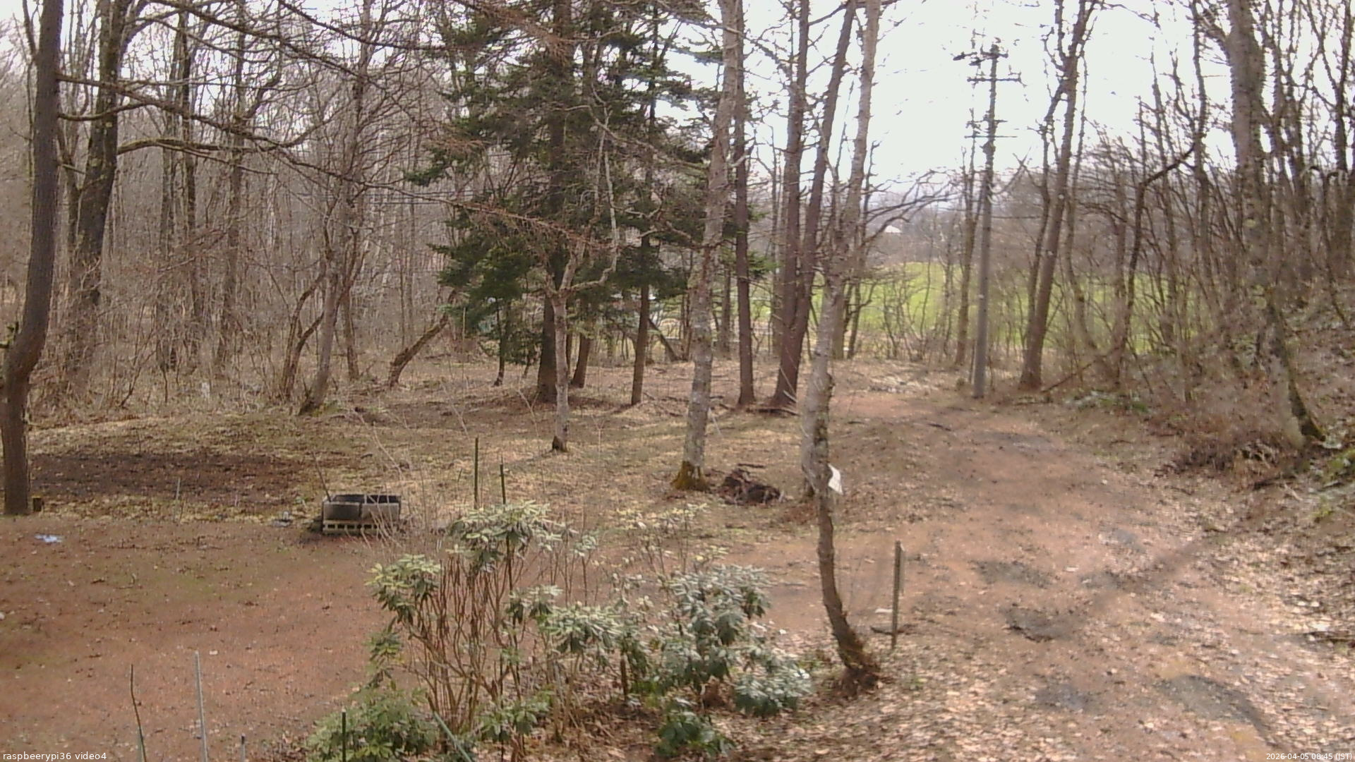 長野県菅平高原 ゆたか山荘 坂上 2026/04/05 08:45