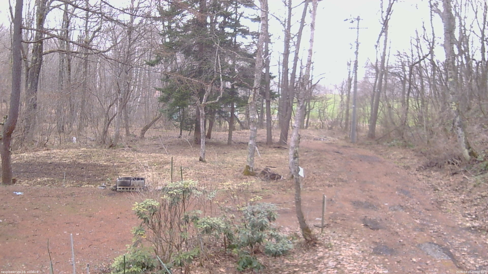 長野県菅平高原 ゆたか山荘 坂上 2026/04/05 09:00